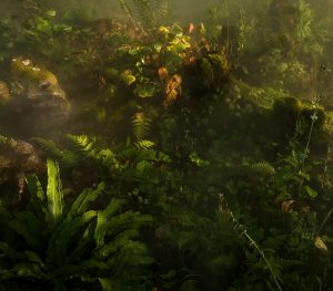 Sensorium createur d'ambiances