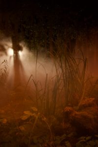 Sensorium création d'atmosphère