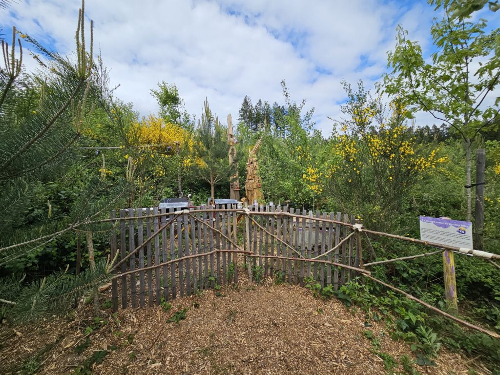 2025 05 Elfy parc myrtilles