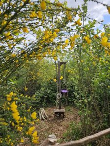 Elfy parc scénographie sur sentier aux myrtilles