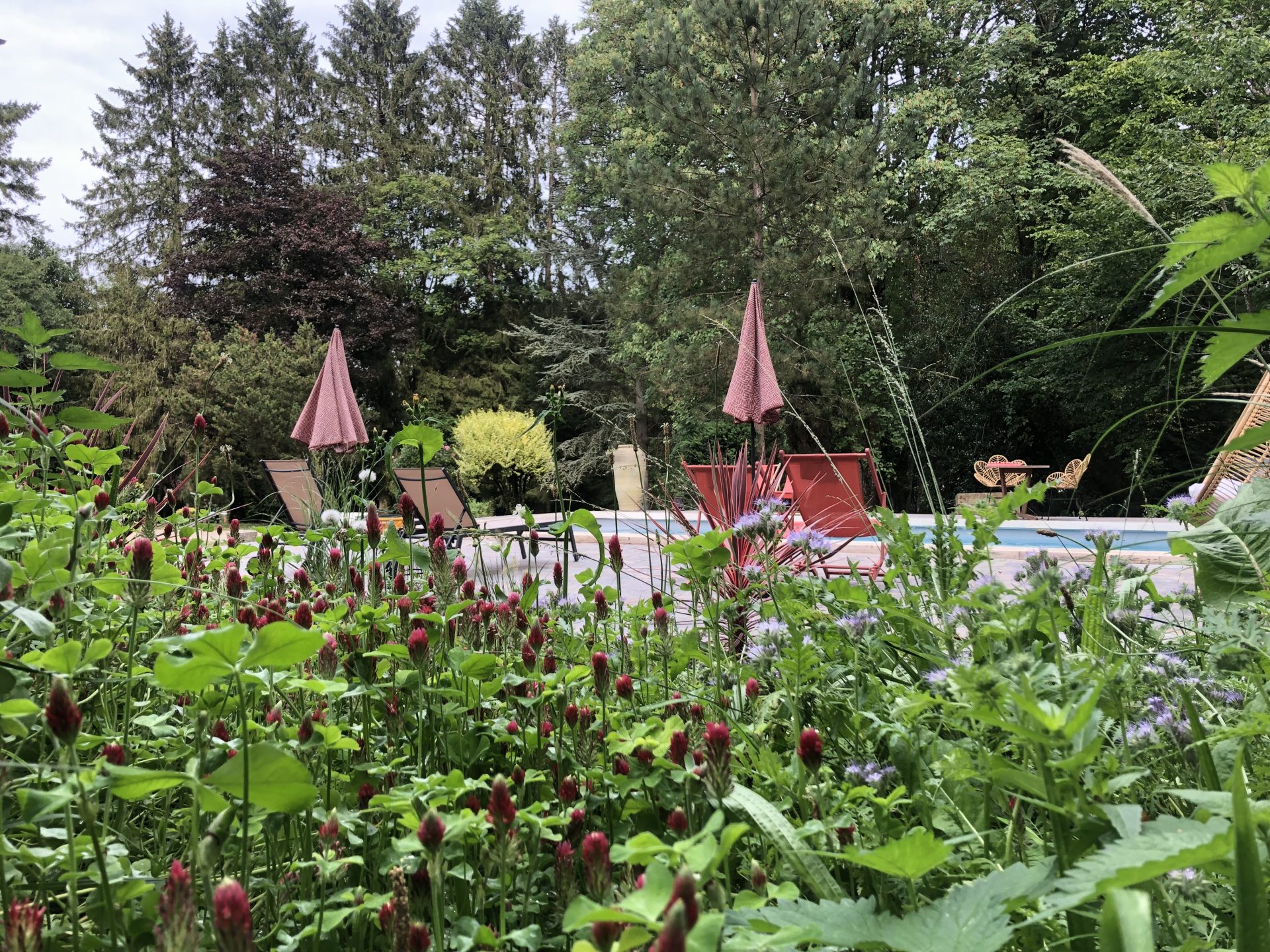 Aménagement paysager en bord de piscine d’un gîte avec végétation et éléments décoratifs aux touches rouges.