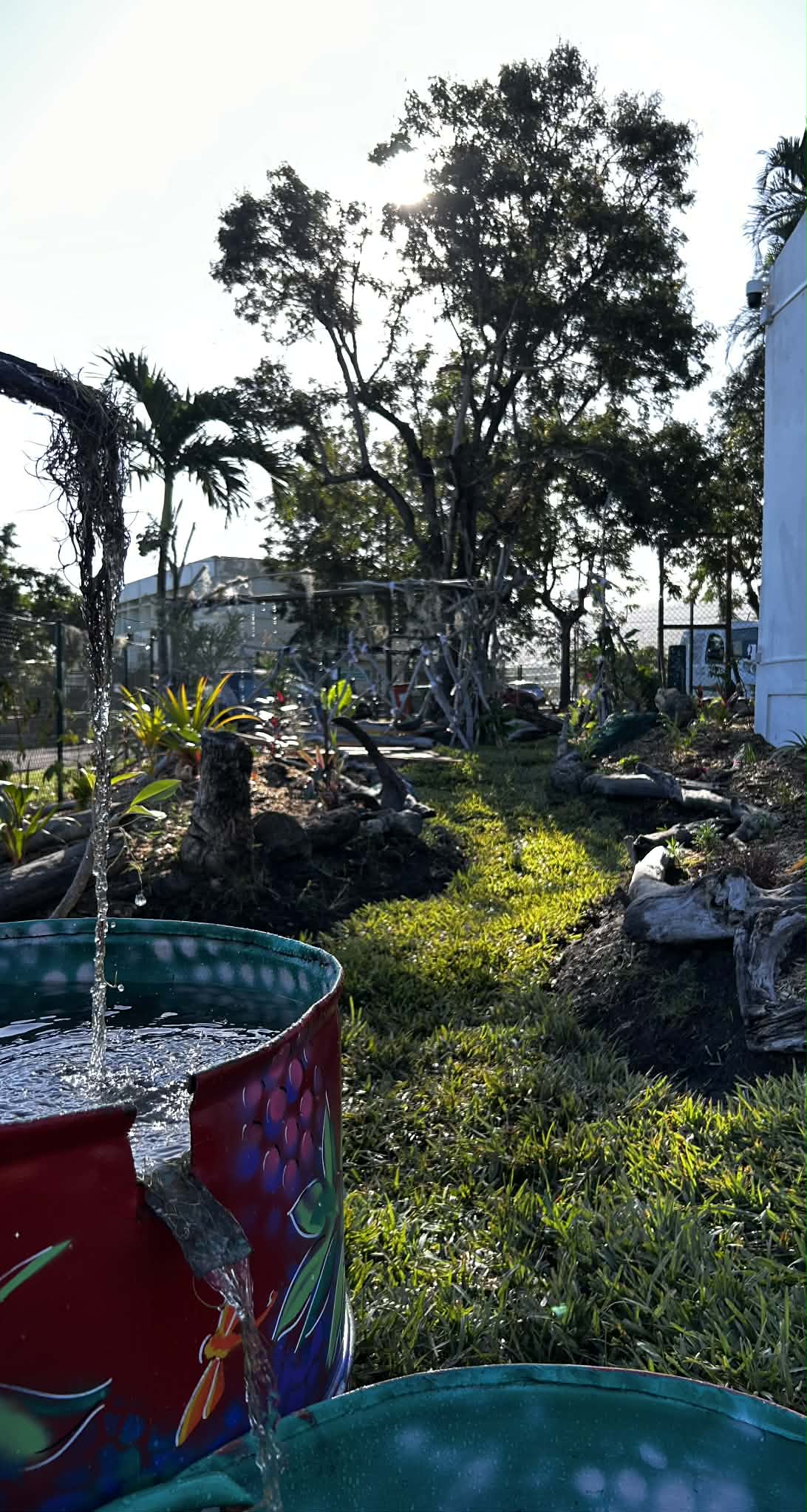 Jardin pédagogique à La Réunion présentant des essences locales et une végétation tropicale éducative.