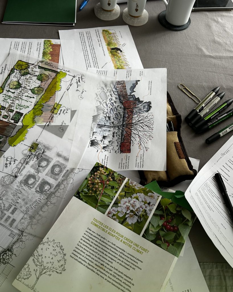 Dessin de jardin à la main