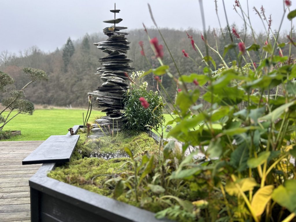 Création paysagère sur terrasse dans les Ardennes, associant matériaux naturels et plantes carnivores dans une scénographie végétale